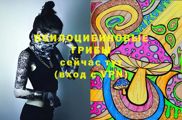 прущая мука Абаза